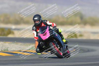 media/Feb-04-2023-SoCal Trackdays (Sat) [[8a776bf2c3]]/Turn 14 (115pm)/